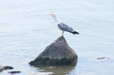 Similar image 11044512