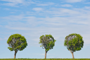 Similar image 11044516