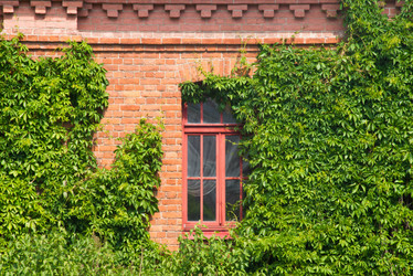 Similar image 11044523