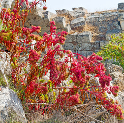 Similar image 11072847