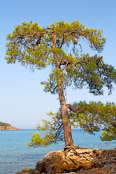 Similar image 11073174