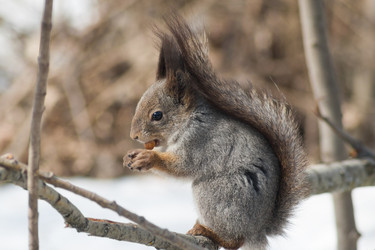 Similar image 11044099