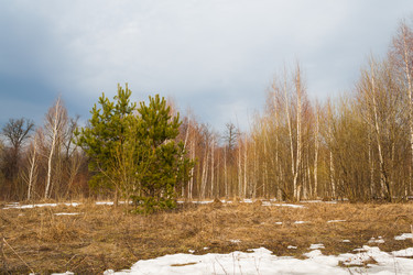 Similar image 11044100