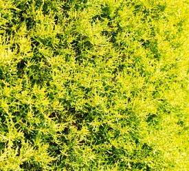 Similar image 11072298