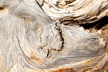 Similar image 11072544