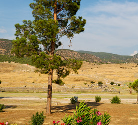 Similar image 11072855