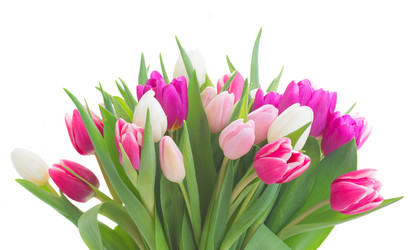 Similar image 11144330