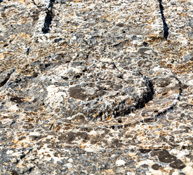 Similar image 11071928