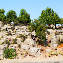 Similar image 11071934