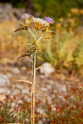 Similar image 11072115