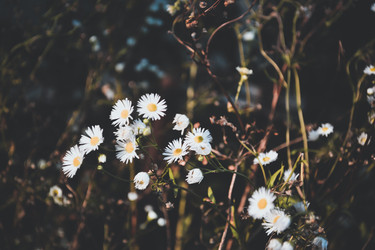 Similar image 11136427