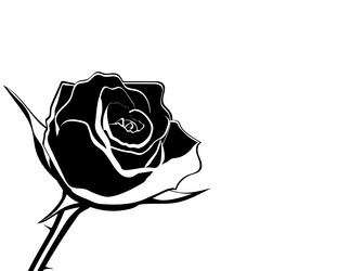 Similar image 11277810