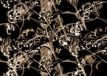 Similar image 11044750