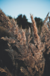 Similar image 11136441