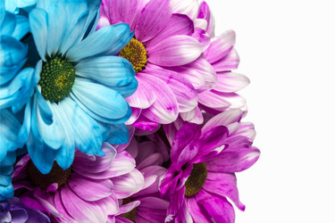 Similar image 11279362