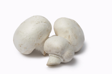 Similar image 11279367