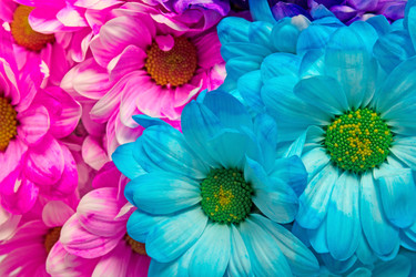 Similar image 11279368