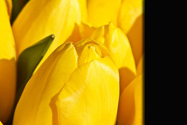 Similar image 11279384