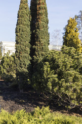 Similar image 11279390