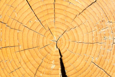 Similar image 11279391