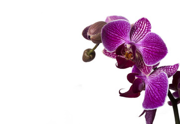 Similar image 11279455