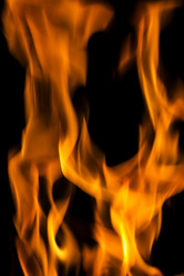 Similar image 11279457