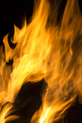 Similar image 11279458