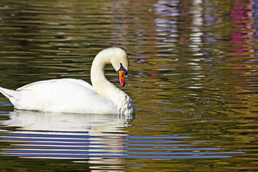 Similar image 11279480