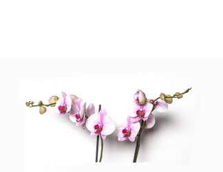 Similar image 11279484