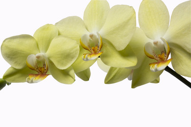 Similar image 11279487