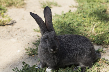 Similar image 11279496