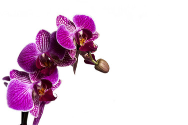 Similar image 11279516