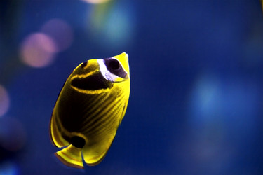 Similar image 11279558