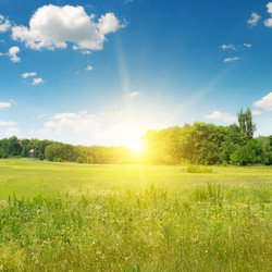 Similar image 11044816