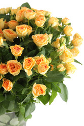 Similar image 11044459