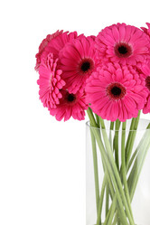 Similar image 11044460