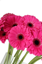 Similar image 11044477