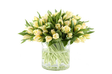 Similar image 11044478