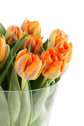 Similar image 11044480