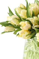 Similar image 11044483