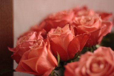 Similar image 11051534