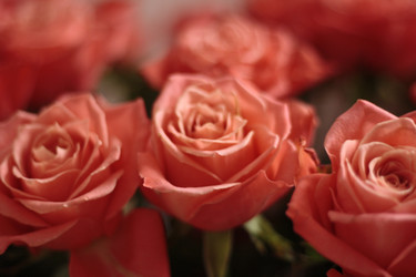 Similar image 11051535