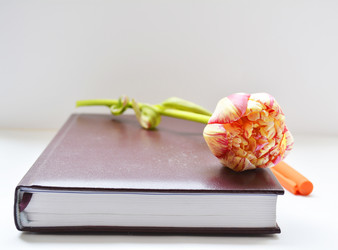 Similar image 11045736