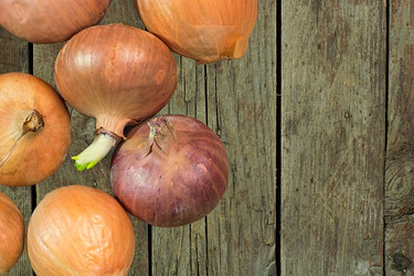 Similar image 11045798