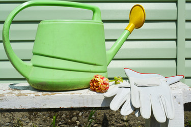 Similar image 11045738