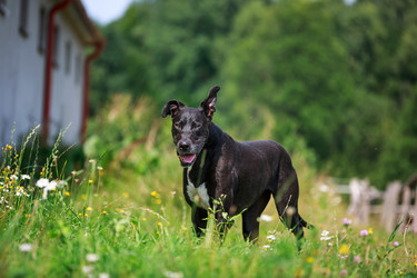 Similar image 11073755