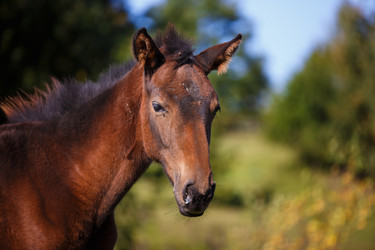 Similar image 11073757