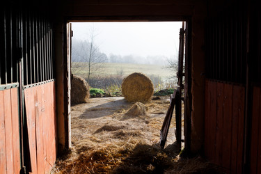 Similar image 11073762