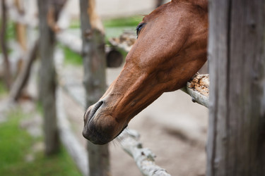 Similar image 11073772