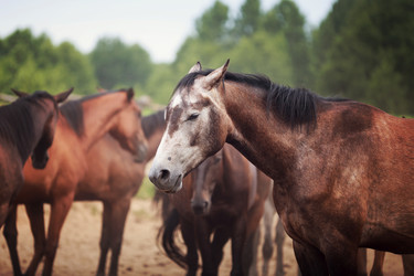 Similar image 11073776